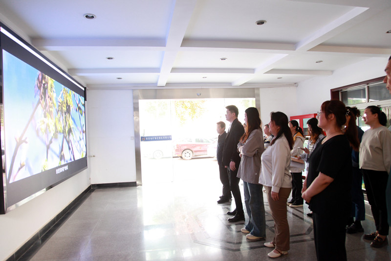 221745305521117809.jpeg 2.jpg